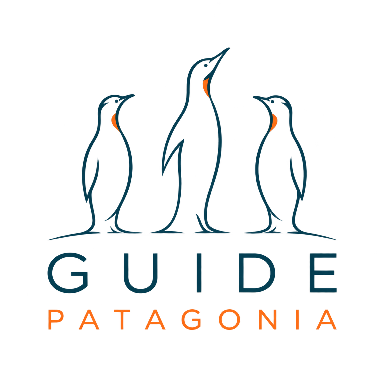 Guide Patagonia